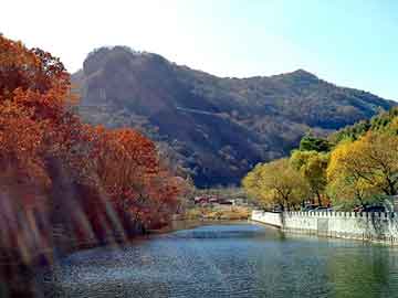 新澳门期期准精准，上海排水板